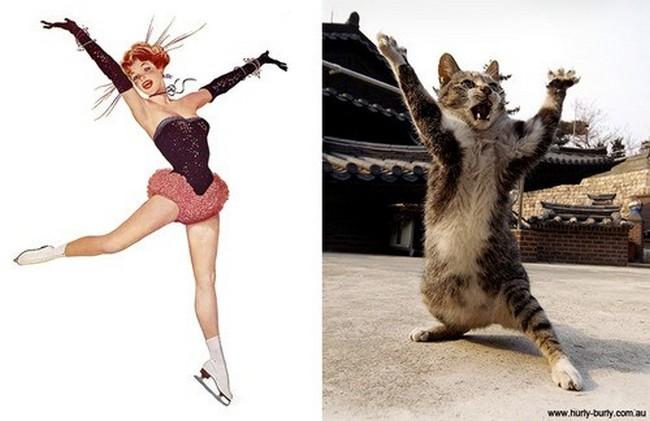 16 gatti che vogliono somigliare clamorosamente a delle Star! articolo