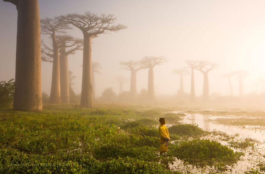 Foto Natura: i 20 scatti più belli del 2015 articolo