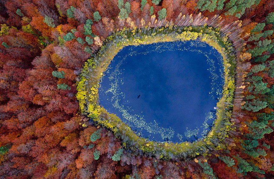 Come sarebbe il mondo se tu fossi un uccello? 30 FOTO articolo