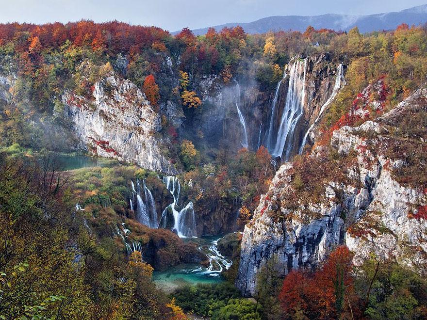 Foto Natura: i 20 scatti più belli del 2015 articolo