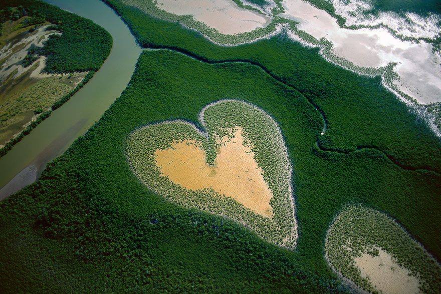 Come sarebbe il mondo se tu fossi un uccello? 30 FOTO articolo