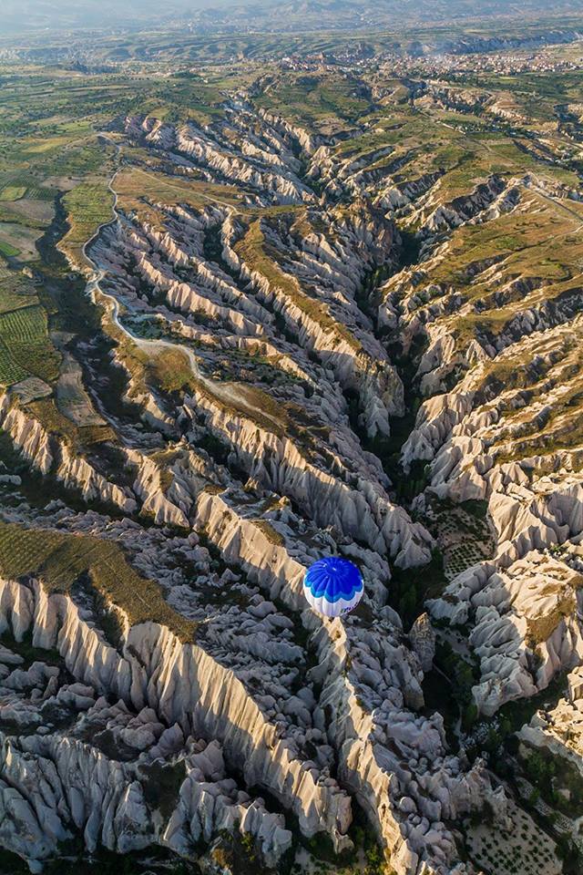 Come sarebbe il mondo se tu fossi un uccello? 30 FOTO articolo