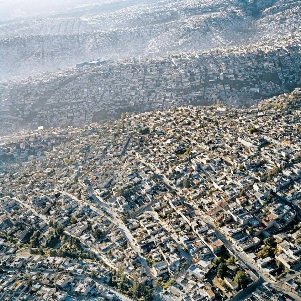 Come sarebbe il mondo se tu fossi un uccello? 30 FOTO articolo