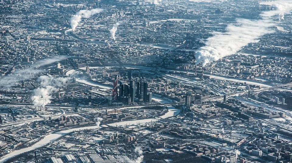 Come sarebbe il mondo se tu fossi un uccello? 30 FOTO articolo