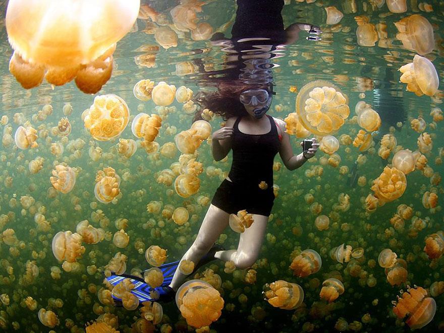 Foto Natura: i 20 scatti più belli del 2015 articolo