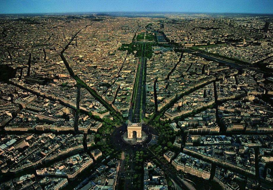 Come sarebbe il mondo se tu fossi un uccello? 30 FOTO articolo