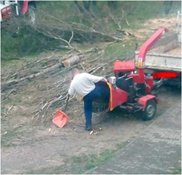 20 persone che probabilmente sono morte dopo aver sfidato la natura articolo