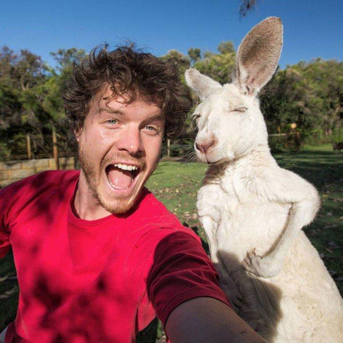 L'esperimento di Allan: 20 selfie completamente folli con gli animali! articolo
