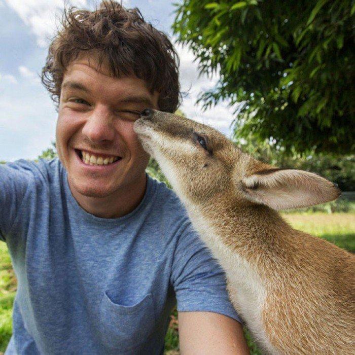 L'esperimento di Allan: 20 selfie completamente folli con gli animali! articolo