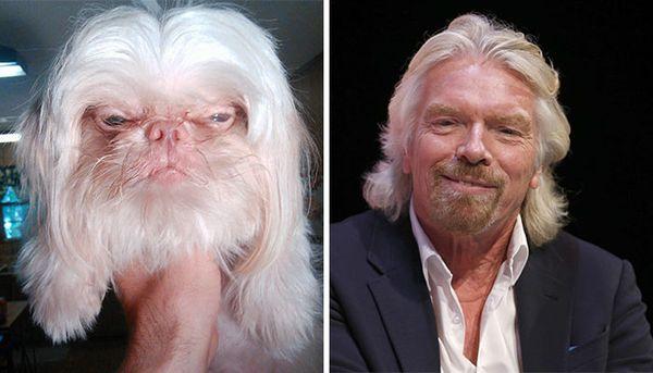 20 animali che somigliano CLAMOROSAMENTE ai personaggi famosi! articolo
