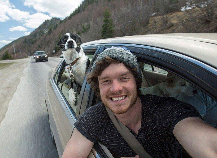 L'esperimento di Allan: 20 selfie completamente folli con gli animali! articolo