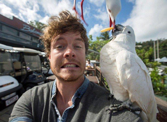L'esperimento di Allan: 20 selfie completamente folli con gli animali! articolo