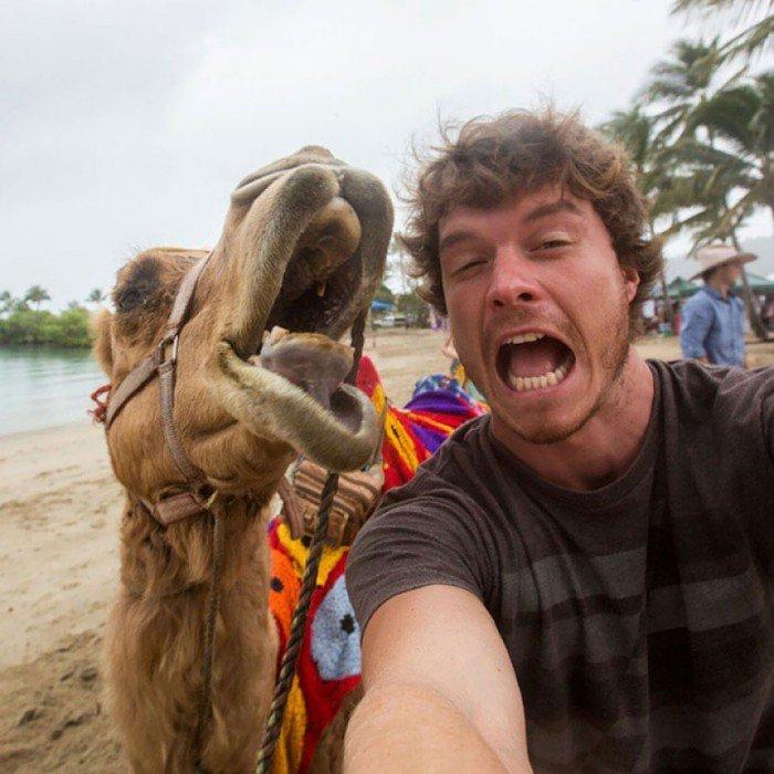 L'esperimento di Allan: 20 selfie completamente folli con gli animali! articolo