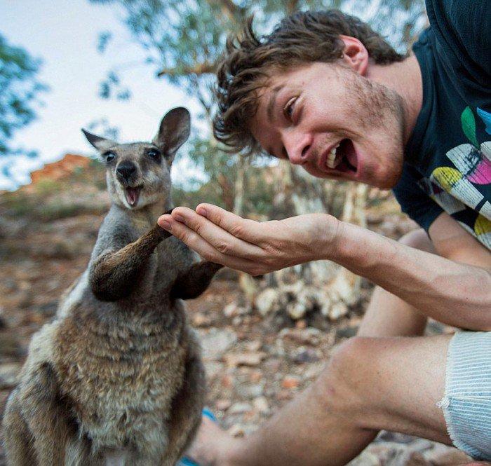 L'esperimento di Allan: 20 selfie completamente folli con gli animali! articolo