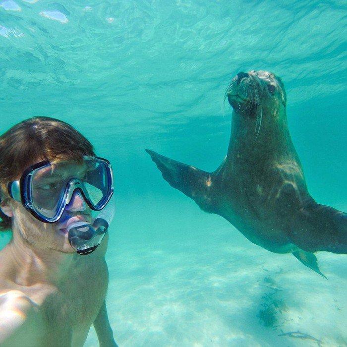 L'esperimento di Allan: 20 selfie completamente folli con gli animali! articolo