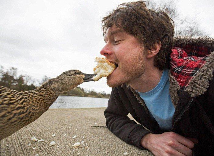L'esperimento di Allan: 20 selfie completamente folli con gli animali! articolo