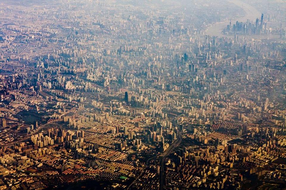 Come sarebbe il mondo se tu fossi un uccello? 30 FOTO articolo
