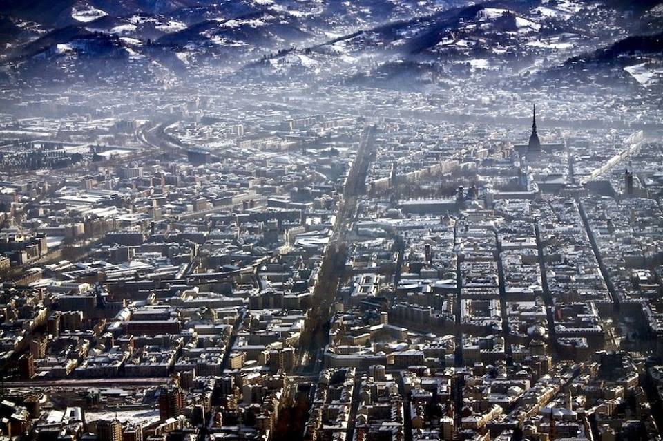 Come sarebbe il mondo se tu fossi un uccello? 30 FOTO articolo