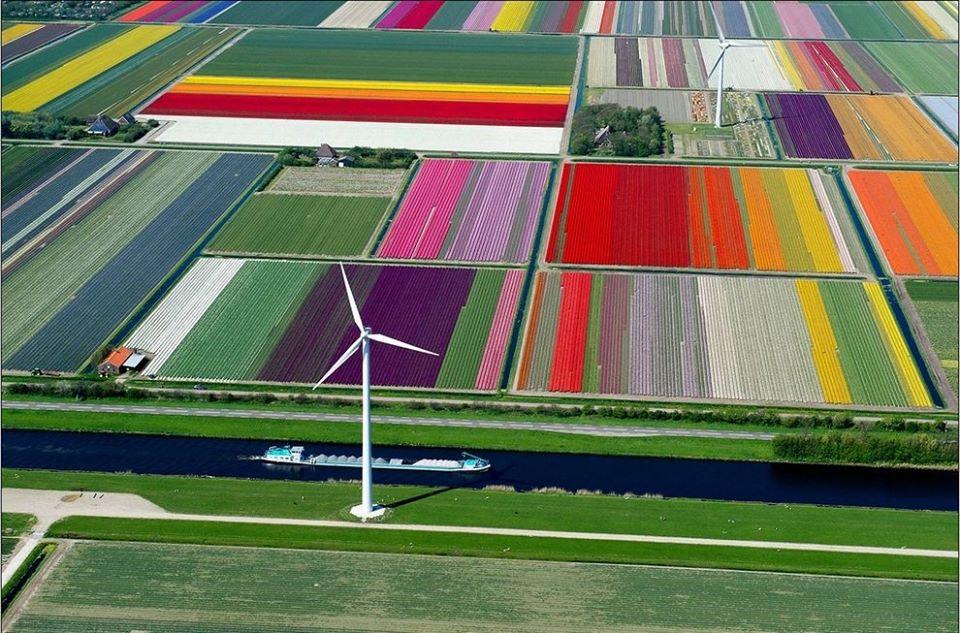 Come sarebbe il mondo se tu fossi un uccello? 30 FOTO articolo