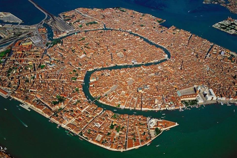 Come sarebbe il mondo se tu fossi un uccello? 30 FOTO articolo