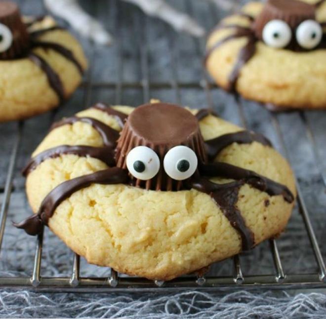  foto dei cookies ragno