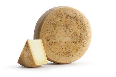 foto di immagine formaggio in allegato alla seconda prova liceo artistico 2015