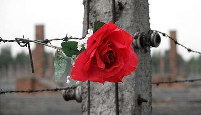 negazionismo shoah prigione
