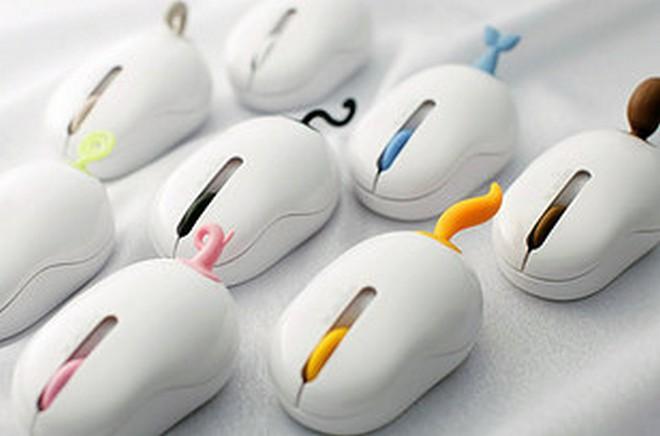 15 cose che svoltano la tua giornata di studio