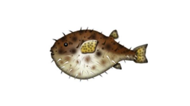  foto emoji pesce brutto