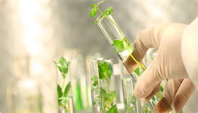 foto di provette biotecnologie