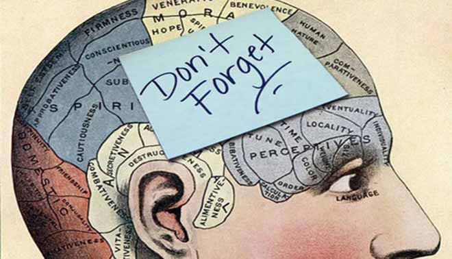 Backtoschool: 5 consigli per aumentare la memoria