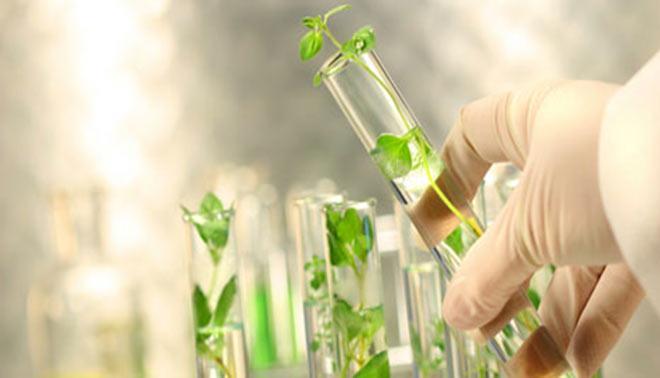 foto di simulazione seconda prova biotecnologie ambientali