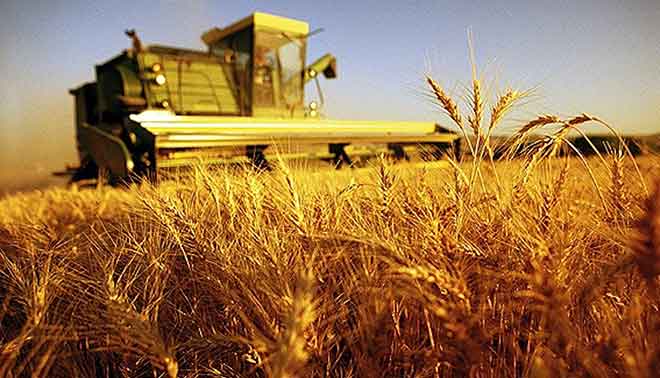 foto di simulazione seconda prova servizi per l'agricoltura e lo sviluppo rurale
