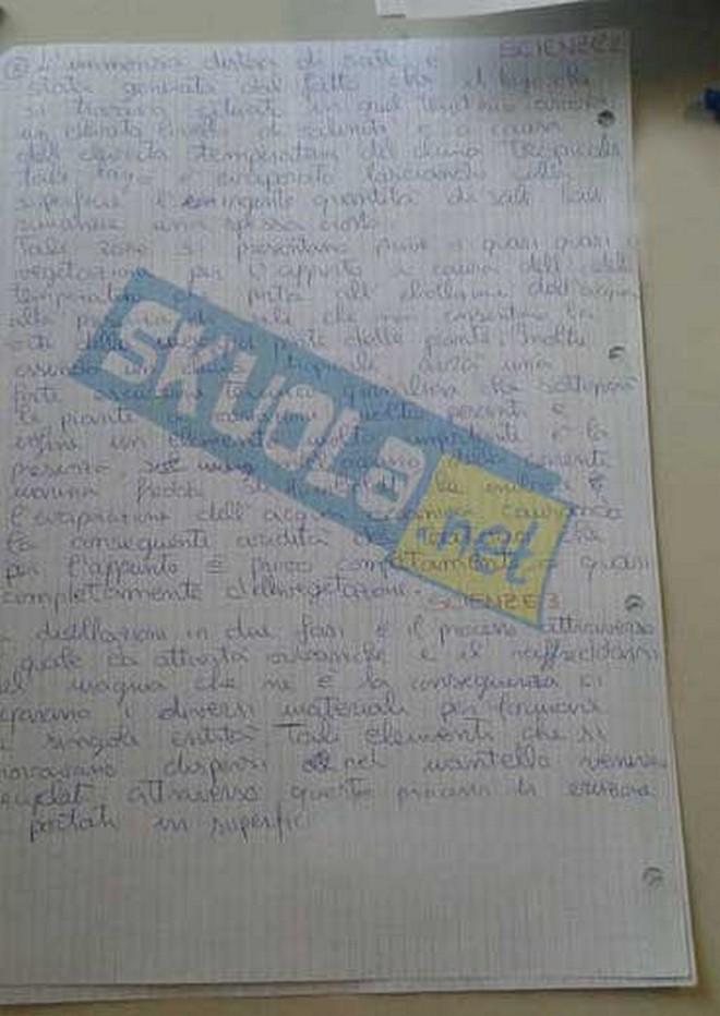 foto della soluzione della simulazione della seconda prova di Scienza della maturità del liceo scientifico