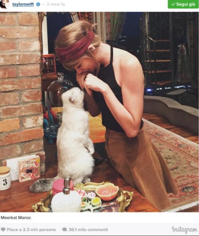 foto Taylor Swift su Instagram