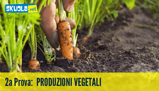 "Soluzione di Produzioni vegetali per le tracce della seconda prova di maturità 2015"