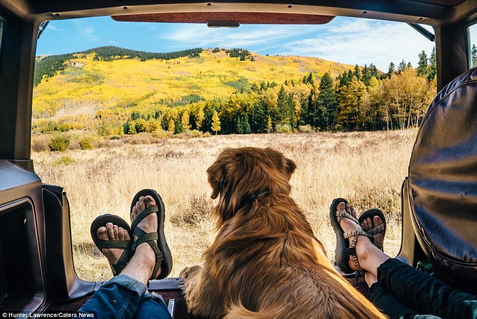 Su Instagram impazza il cane più Hipster del mondo! articolo