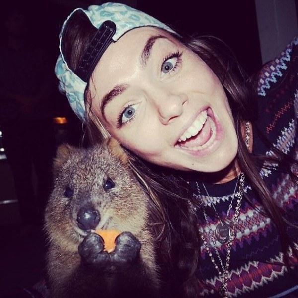 Il sorriso del Quokka ti conquisterà: è lui il Gatto del 2016! articolo