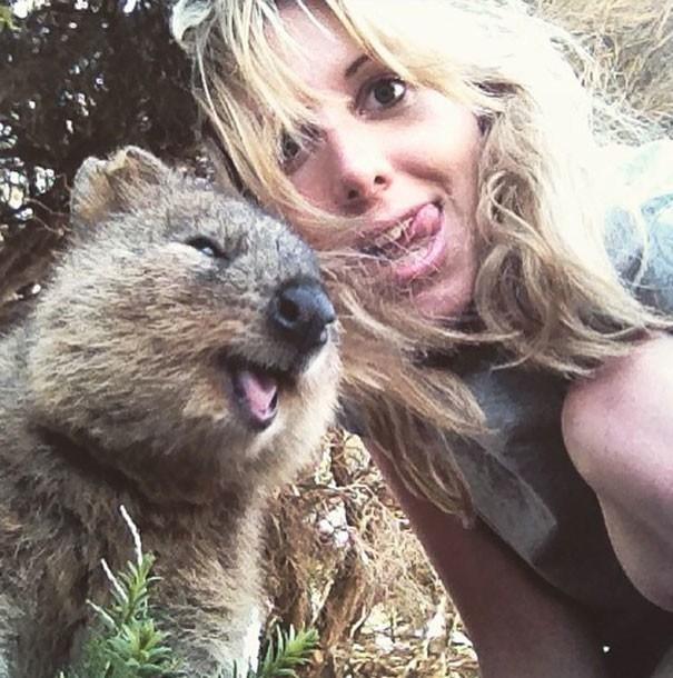 Il sorriso del Quokka ti conquisterà: è lui il Gatto del 2016! articolo