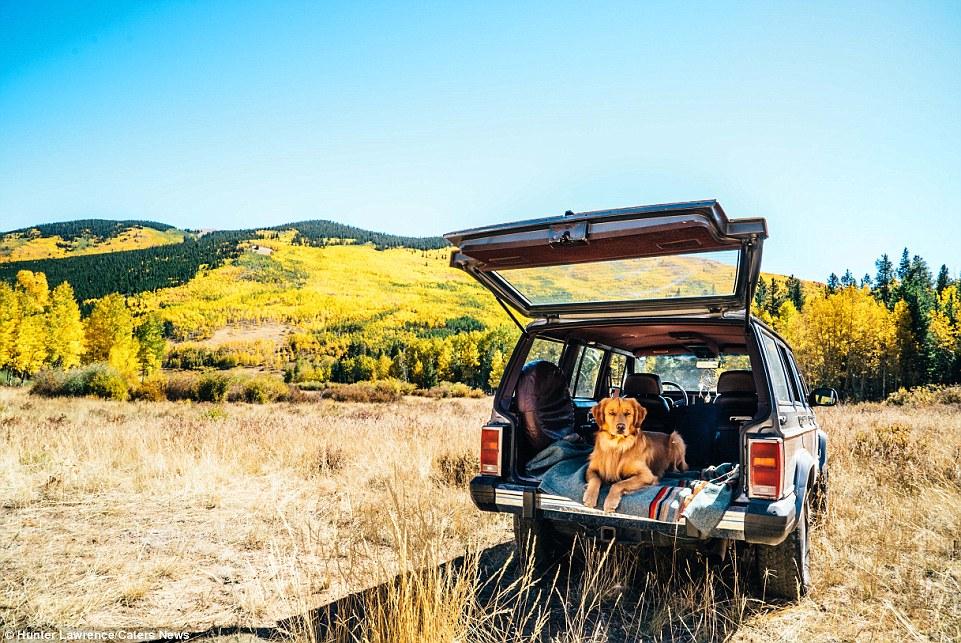 Su Instagram impazza il cane più Hipster del mondo! articolo