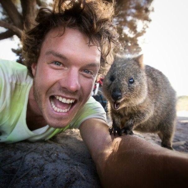 Il sorriso del Quokka ti conquisterà: è lui il Gatto del 2016! articolo