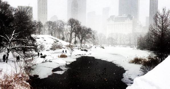 Lo spettacolo di New York sotto la neve - 20 FOTO articolo