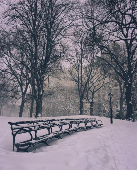 Lo spettacolo di New York sotto la neve - 20 FOTO articolo
