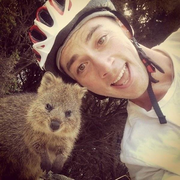 Il sorriso del Quokka ti conquisterà: è lui il Gatto del 2016! articolo