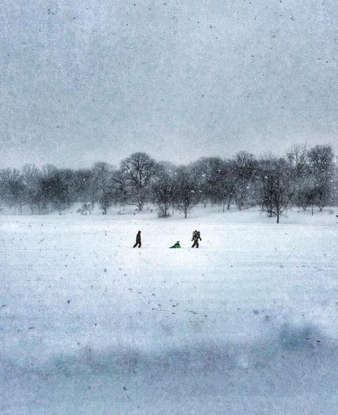 Lo spettacolo di New York sotto la neve - 20 FOTO articolo