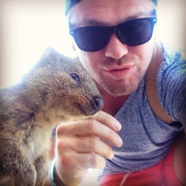 Il sorriso del Quokka ti conquisterà: è lui il Gatto del 2016! articolo