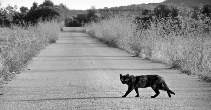 L'origine e la spiegazione delle 13 più famose superstizioni! articolo