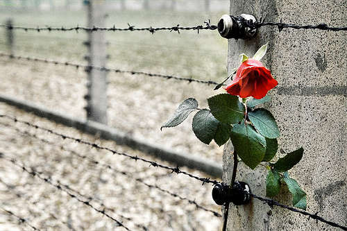 10 cose che non sapete sul Giorno della Memoria articolo
