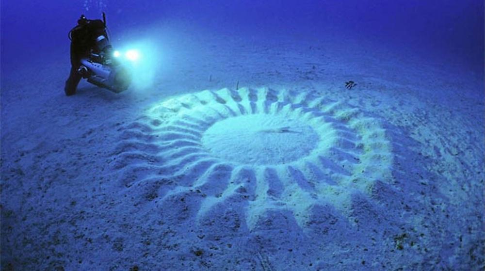 Crop Circles: cosa sono, significato articolo