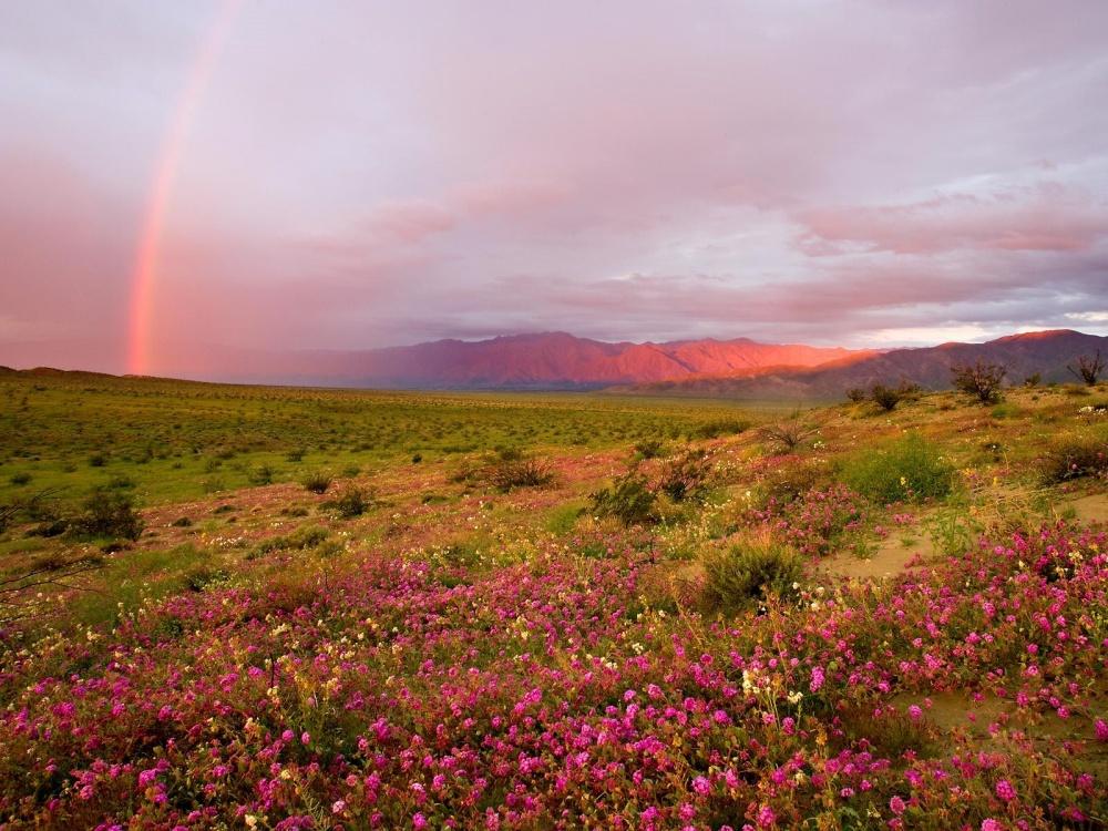 25 fenomeni naturali davvero incredibili! articolo